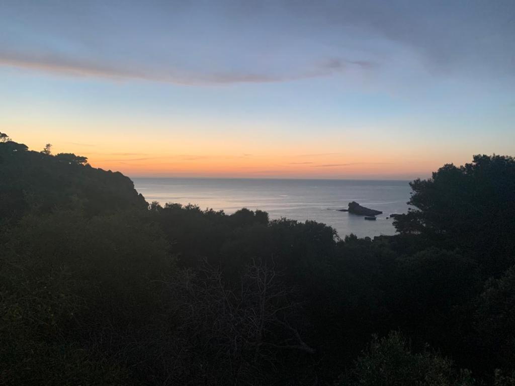 Le Case Vacanze Di Federico Terrasini Dış mekan fotoğraf